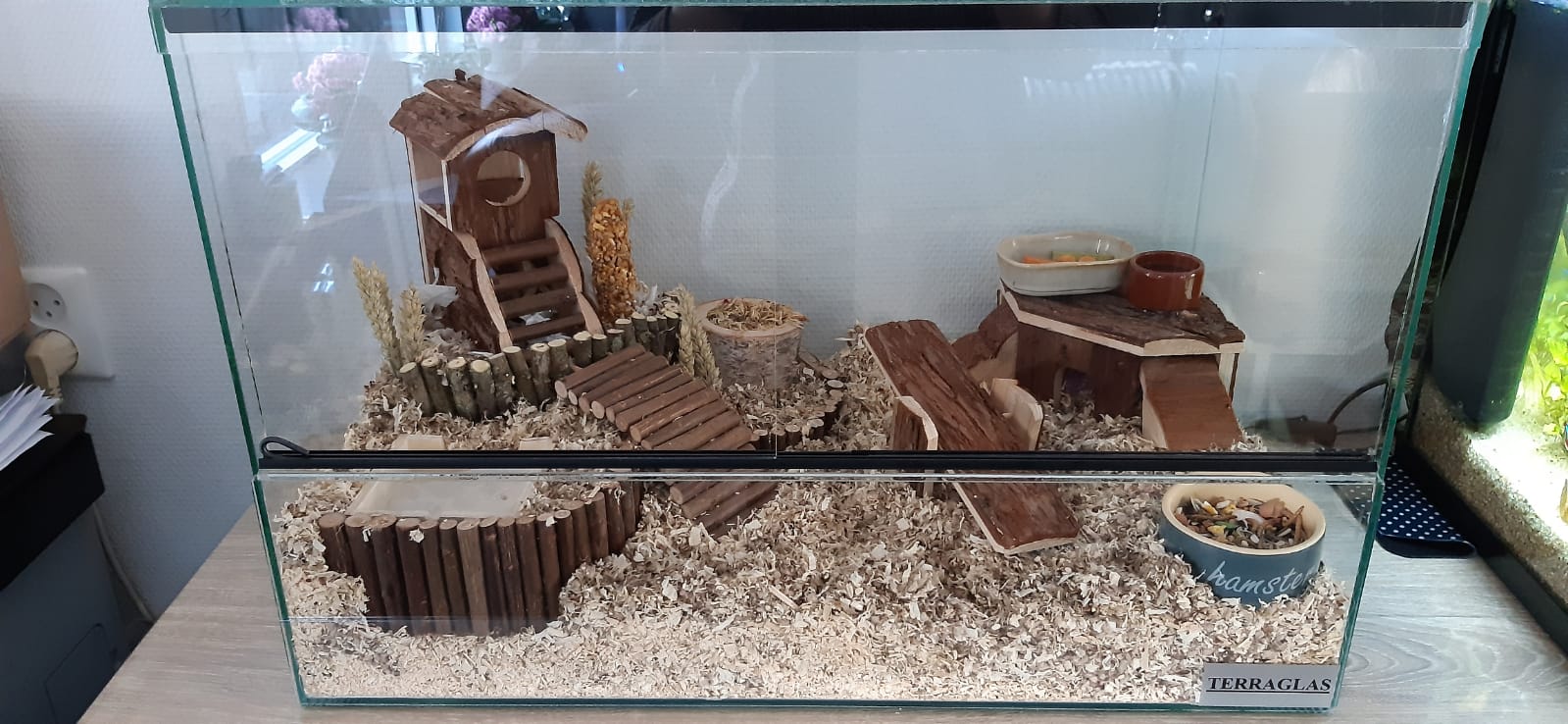 Knaagdieren terrarium 75*40*40 cm terraglas.nl